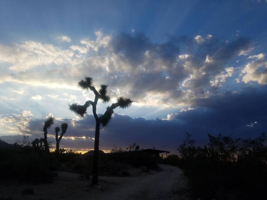 Steph'S Panorama Paradise-Nat'L Park Minutes Away Joshua Tree Exterior foto