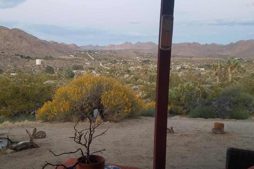 Steph'S Panorama Paradise-Nat'L Park Minutes Away Joshua Tree Exterior foto
