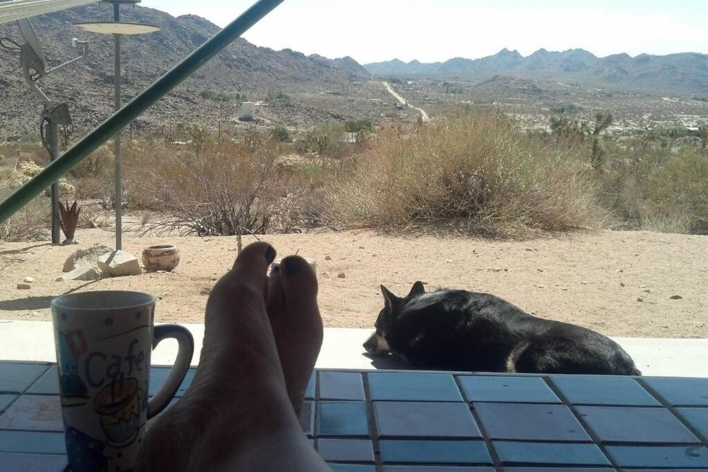 Steph'S Panorama Paradise-Nat'L Park Minutes Away Joshua Tree Exterior foto