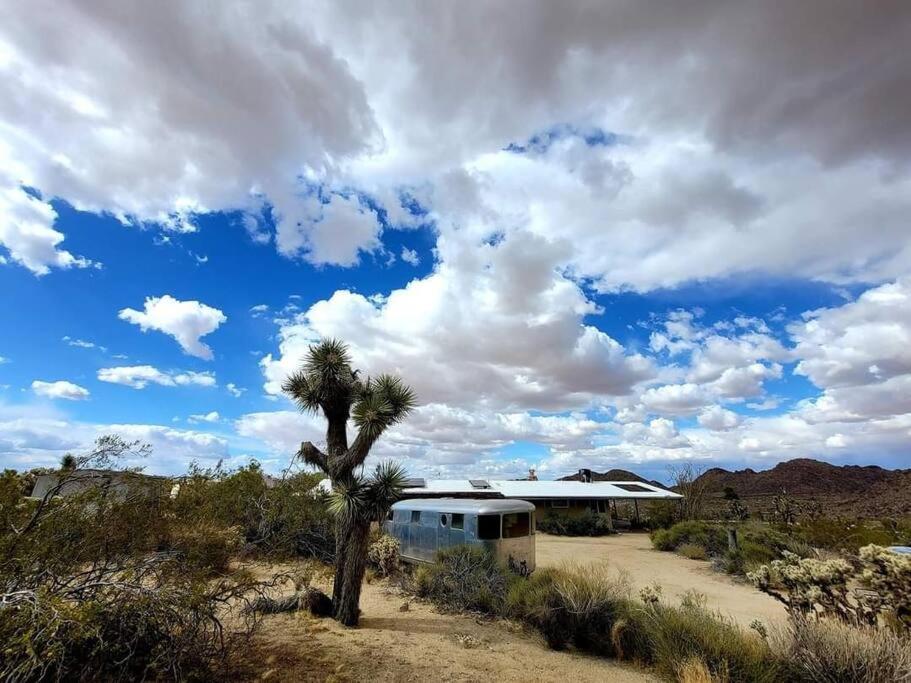 Steph'S Panorama Paradise-Nat'L Park Minutes Away Joshua Tree Exterior foto